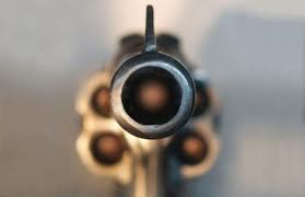 Father, Hunter, Gun Owner