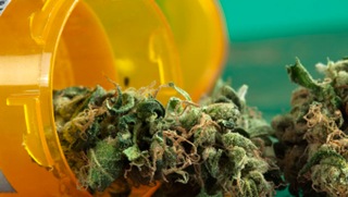 Society’s Going to Pot