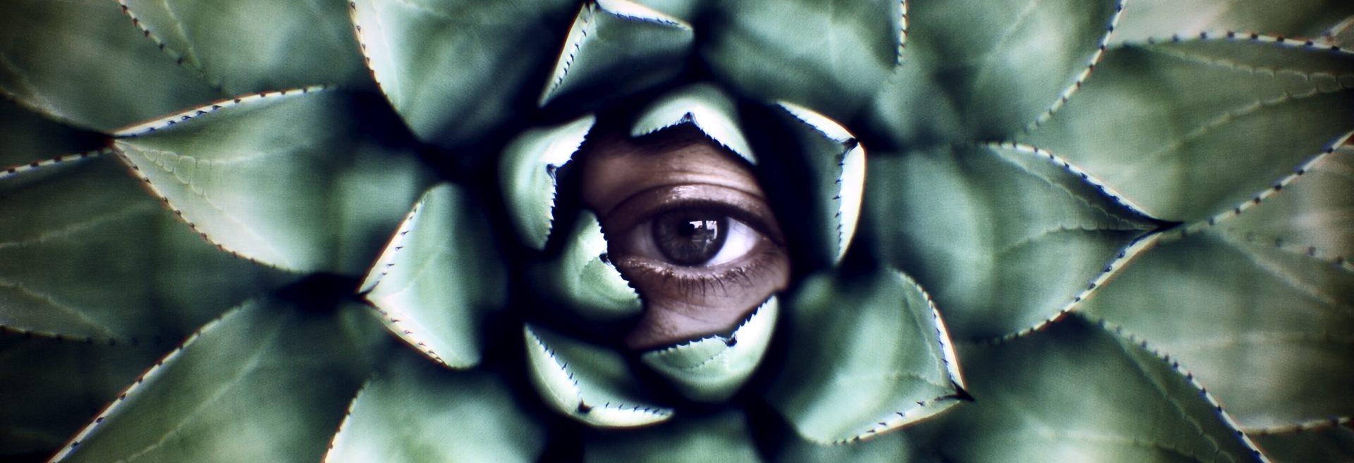 Act or Hide?