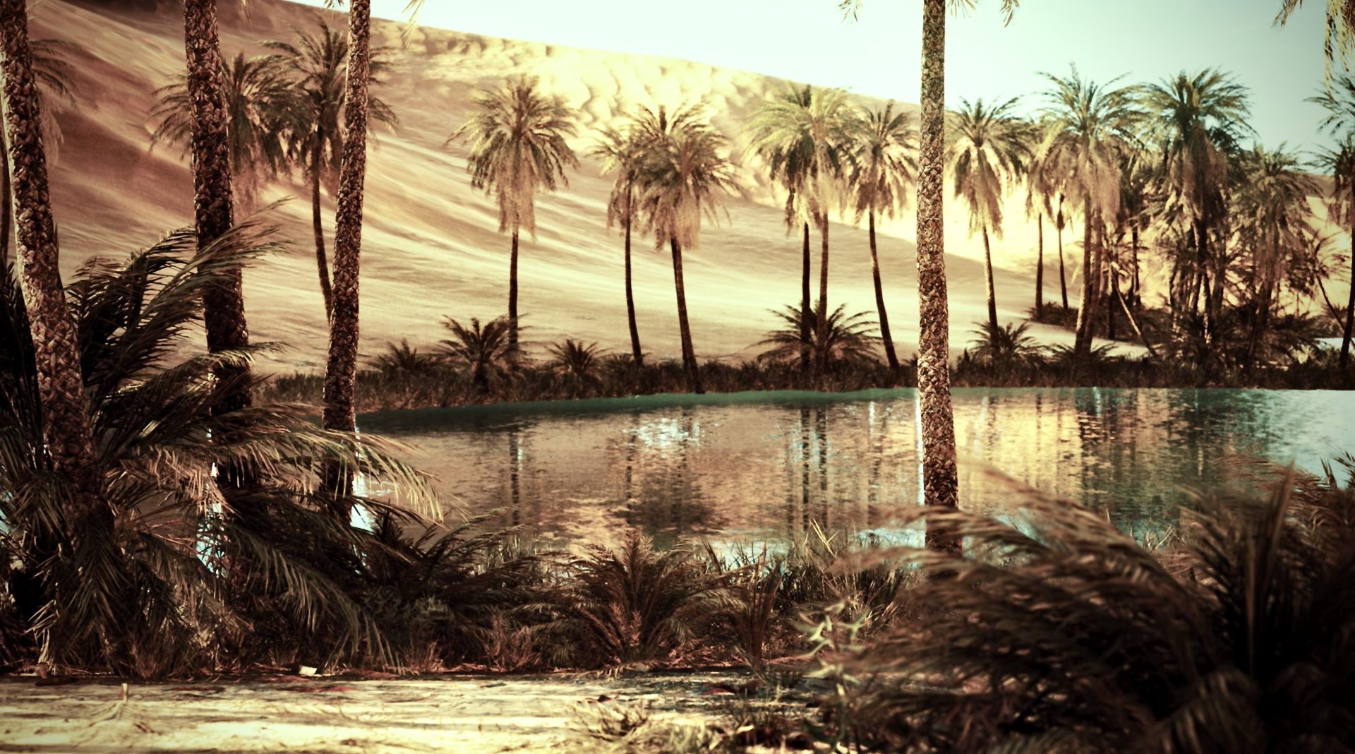 Jungles and Deserts