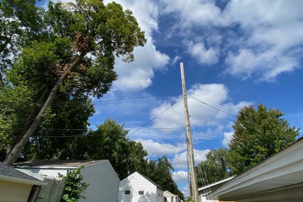 IMG_0655 IMG_0655