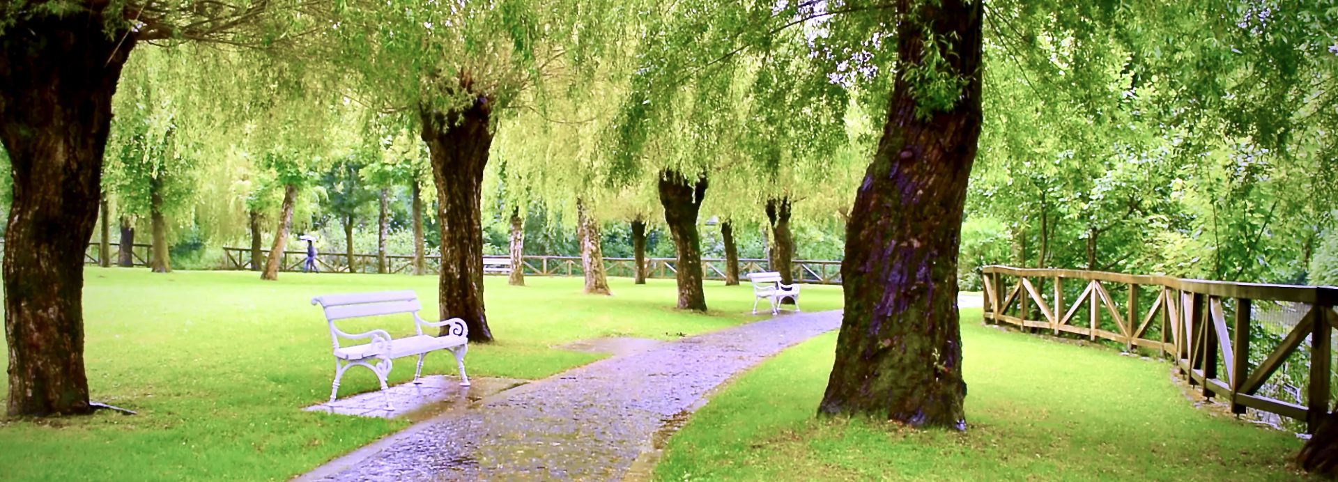 Keeping Cities Green