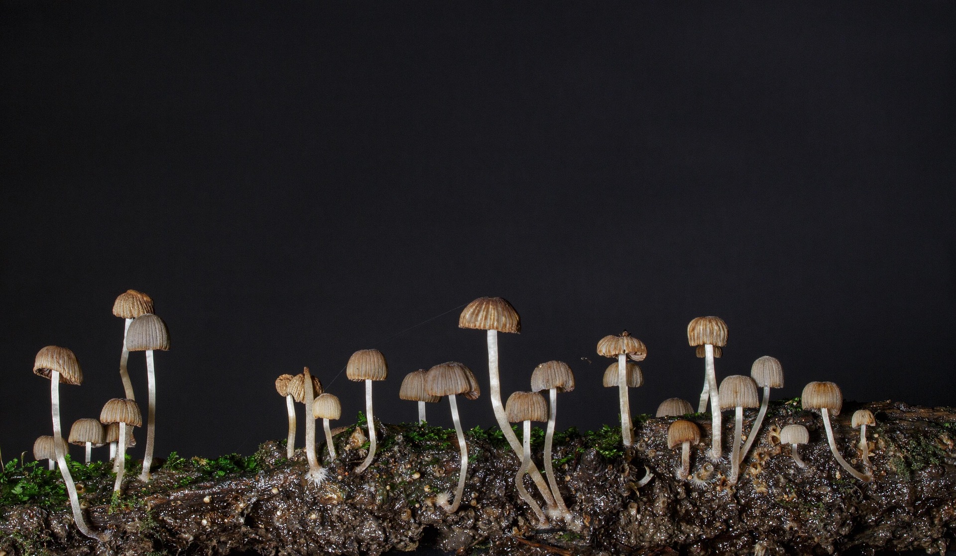 A “Trip” That Can Cure